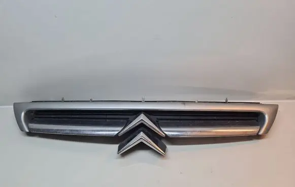 Citroen C8 Front bumper upper radiator grill 1484193077