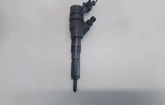 Peugeot 406 Fuel injector 0445110076