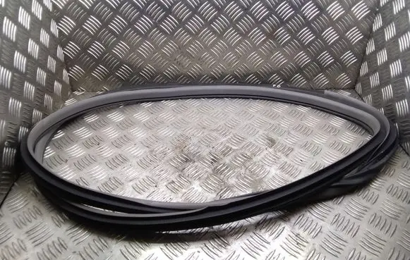 Nissan Leaf I (ZE0) Front door rubber seal