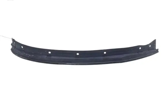 Other front door trim element