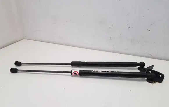 Ford B-MAX Tailgate/trunk strut/damper AV11R406A10AB
