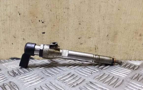 Nissan Qashqai Fuel injector H8200294788 8200380253