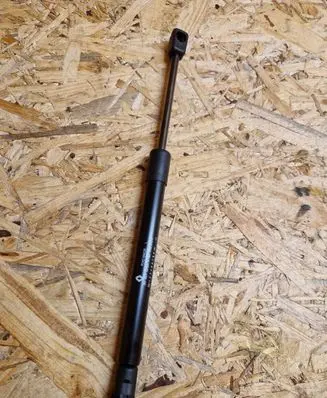 Tailgate strut