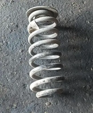 Rear coil spring