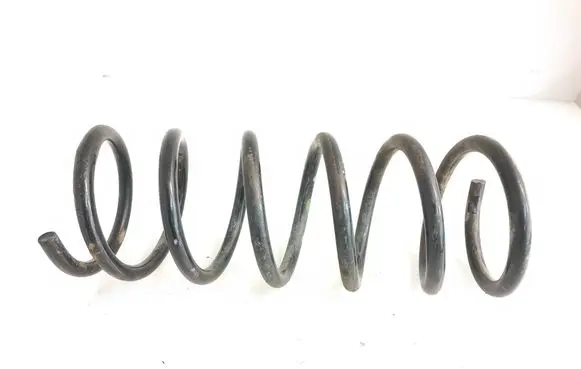 Rear coil spring
