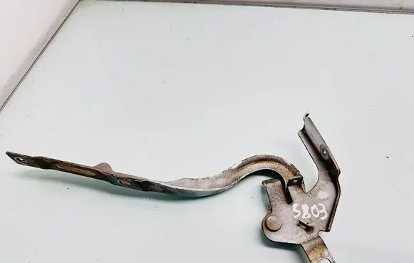 Citroen Jumpy Engine bonnet/hood hinges 9823133980
