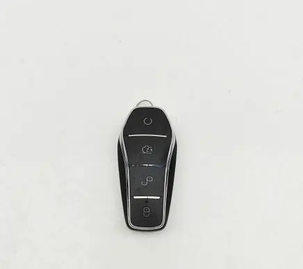 BYD Dolphin Ignition key/card 1497953800 PAH3791200B