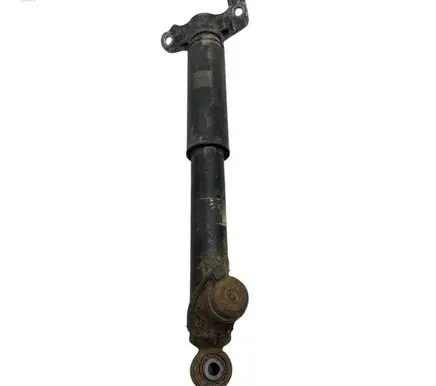 Opel Insignia A Rear shock absorber/damper 13319753 44240005448 315000331