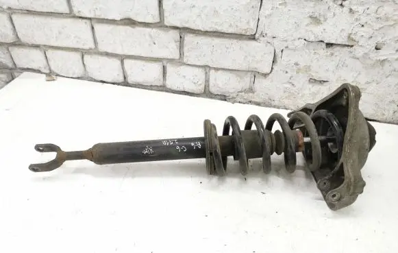 Audi A6 S6 C6 4F Front shock absorber with coil spring