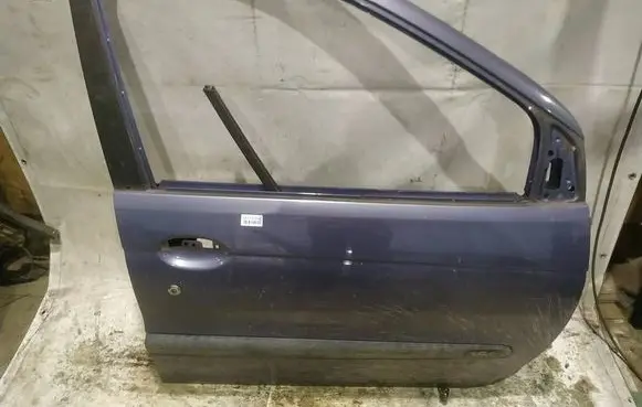 Renault Scenic I Front door MELYNOS