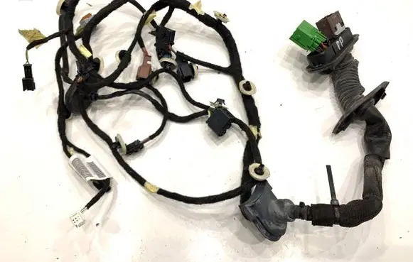 Peugeot 508 II Front door wiring loom 9822491580