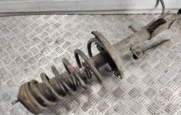 Lexus RX 300 Rear shock absorber with coil spring 