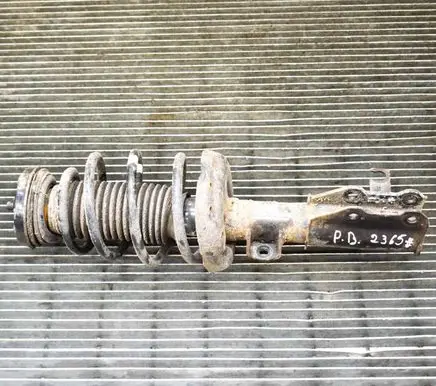 Opel Insignia A Front shock absorber/damper