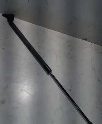 Renault Scenic III - Grand scenic III Tailgate/trunk strut/damper 904510005r