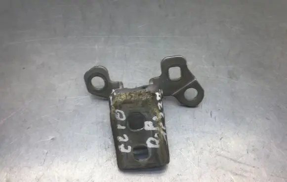 Renault Clio III Front door lower hinge 2050181