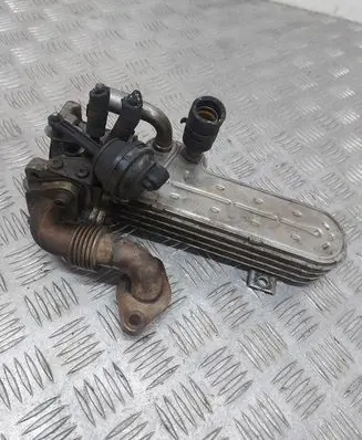 Skoda Octavia Mk2 (1Z) EGR valve cooler 03G131513J