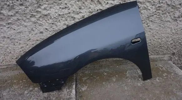 Seat Ibiza III (6L) Fender