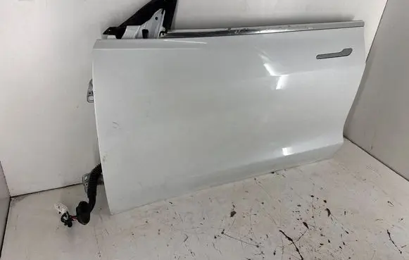 Tesla Model 3 Front door 1081421E0C