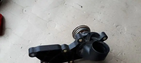 Thermostat/thermostat housing