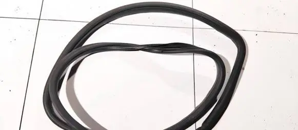 Peugeot 406 Rubber seal front coupe door 