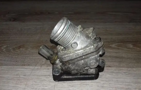 Thermostat/thermostat housing