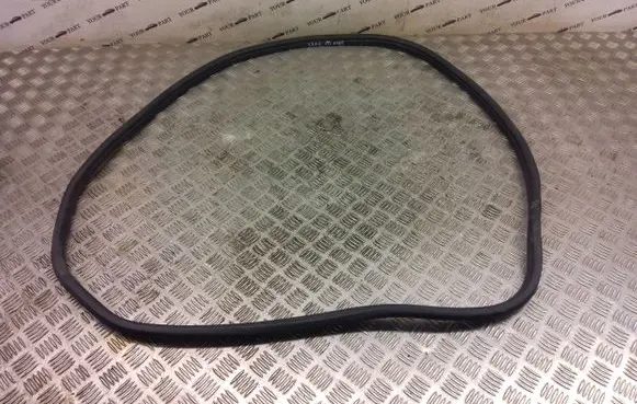 BMW X2 F39 Rear door rubber seal (on body) 7420803