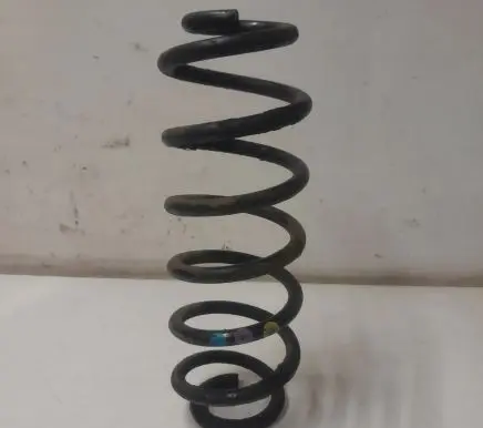Volkswagen PASSAT B6 Rear coil spring