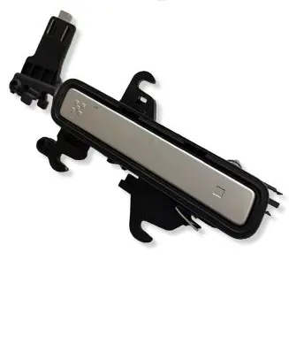 Hyundai Ioniq 5 Front door exterior handle 