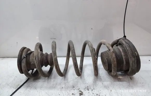 Rear coil spring