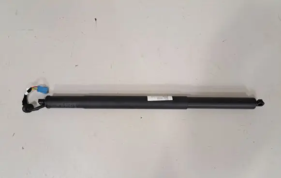 Tailgate/trunk strut/damper
