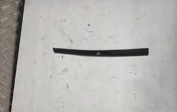 Toyota RAV 4 (XA40) Roof trim bar molding cover