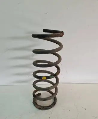 Rear coil spring