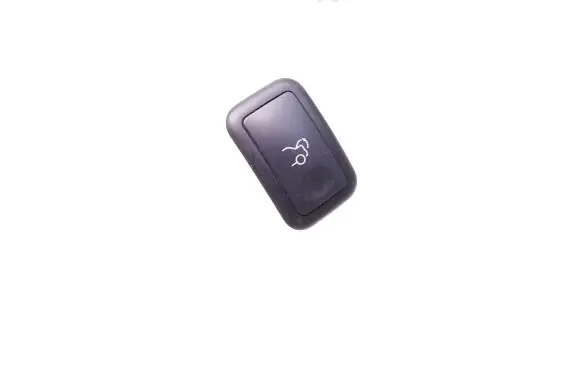 Tailgate opening switch