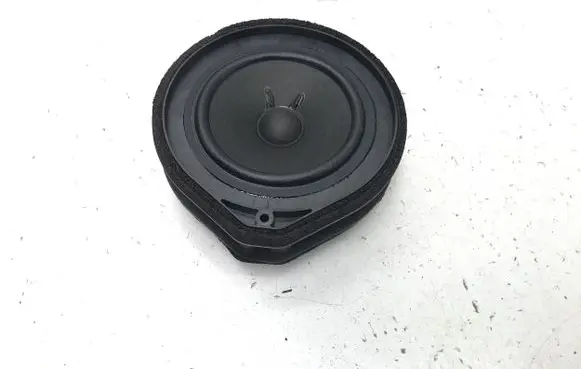 Rear door speaker