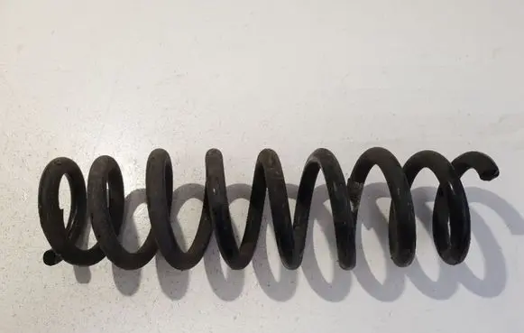Rear coil spring