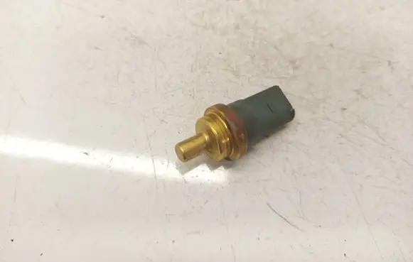 Skoda Octavia Mk2 (1Z) Coolant temperature sensor 06A919501A