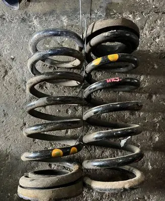 Rear coil spring