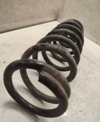 Hyundai Sonata Rear coil spring