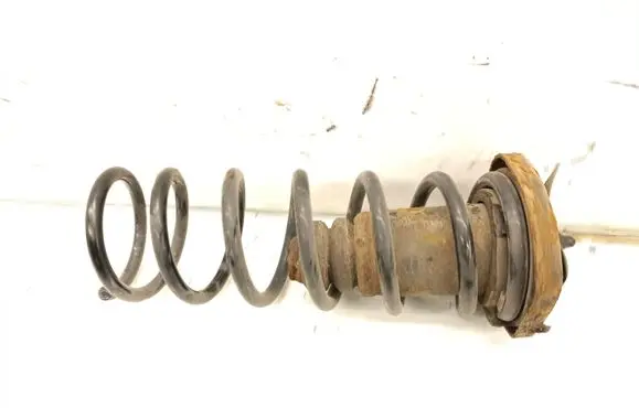 Rear coil spring