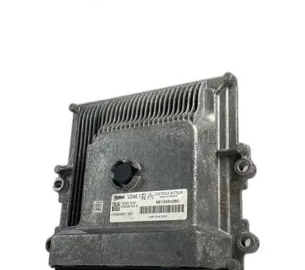 Peugeot 207 Other control units/modules 9813454380 VD461