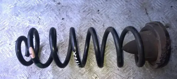 Rear coil spring