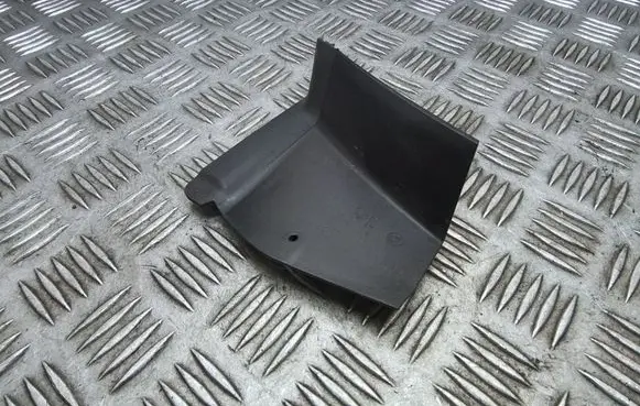 Rear/tail light trim molding
