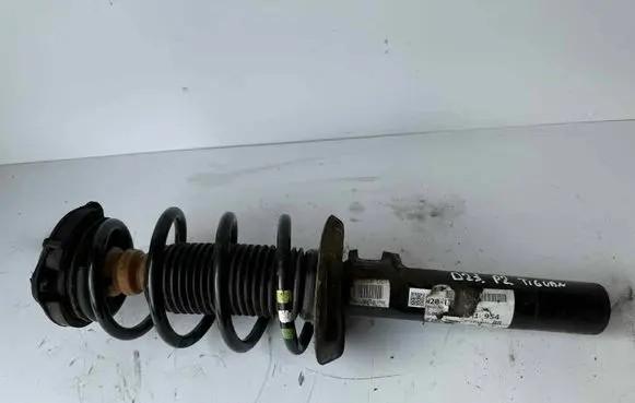 Front shock absorber with coil spring
