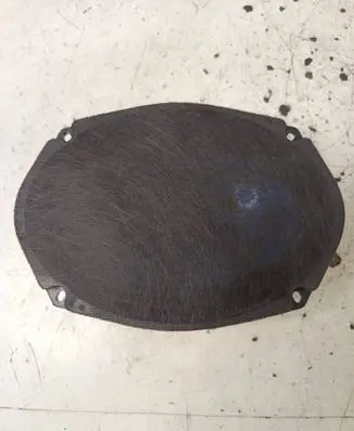 Front door speaker