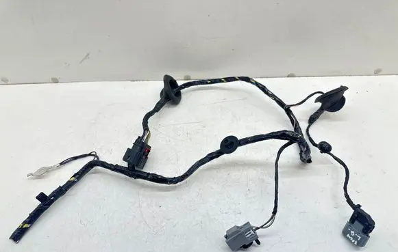 Ford Focus Other wiring loom 