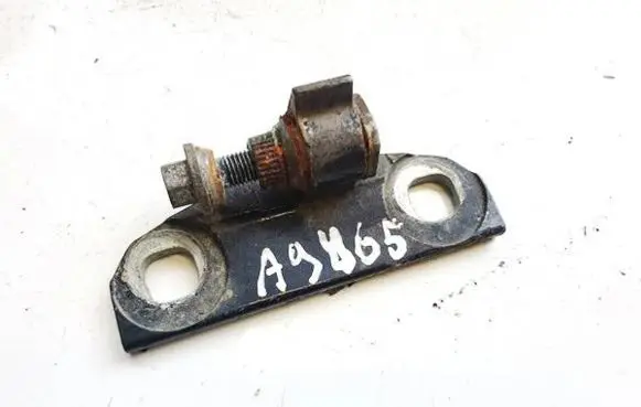 Front door upper hinge