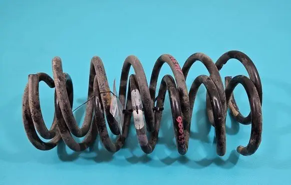 Rear coil spring