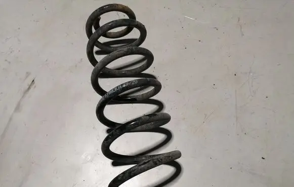 Rear coil spring