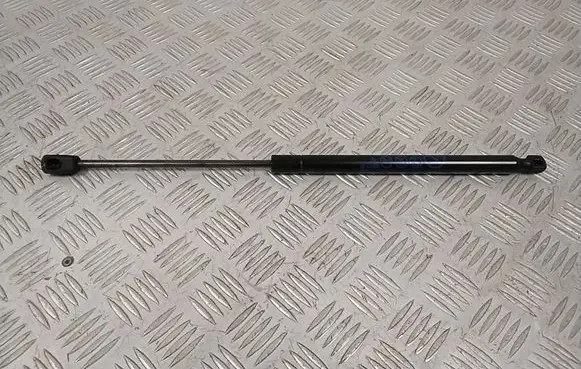 Front bonnet/hood damper/strut