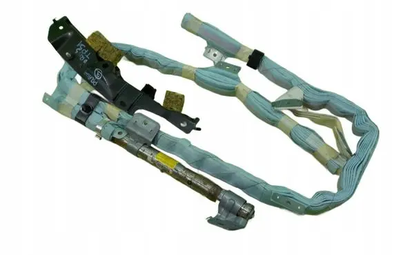 Toyota Prius (XW20) Roof airbag BAMPT11150 TP51